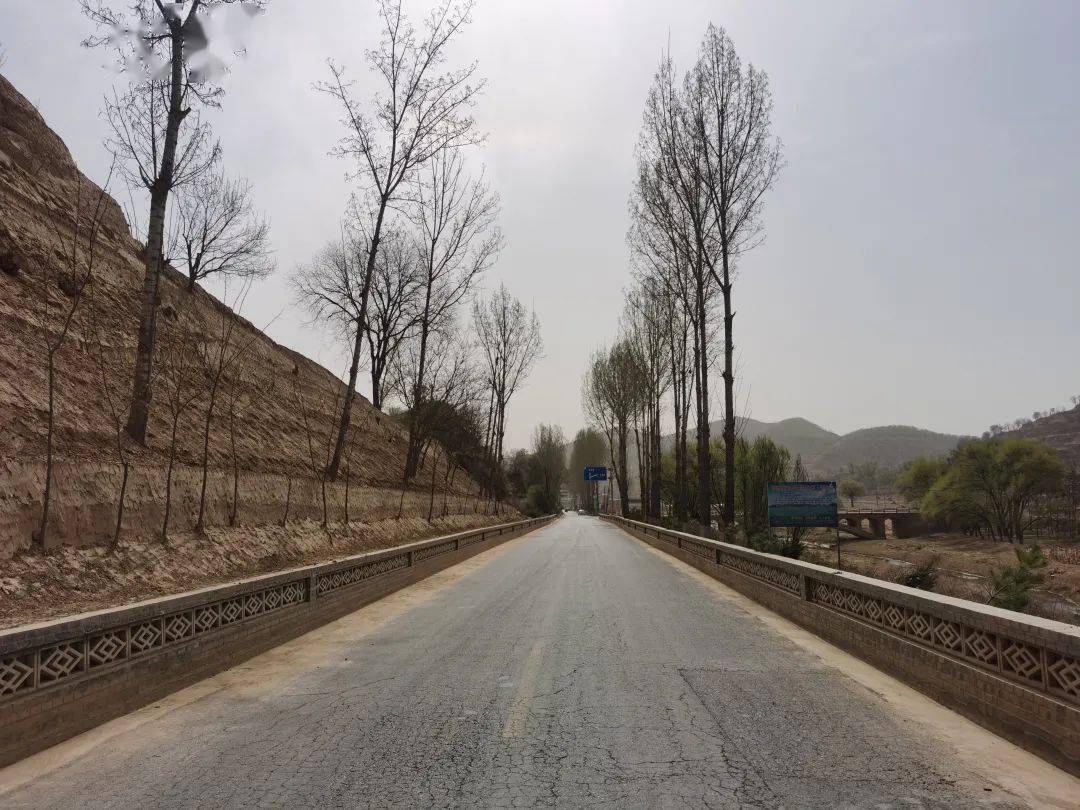 【工作动态】南沟岔镇多措并举 扎实开展人居环境整治工作_农村_领导