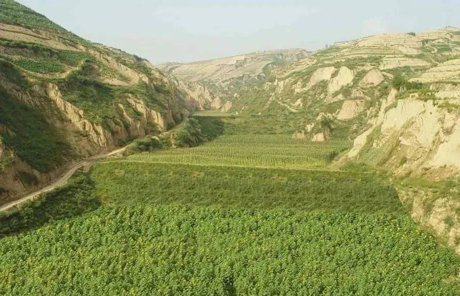 打坝淤地是指在水土流失地区各级沟道中,以拦泥蓄水为目的而修建的坝