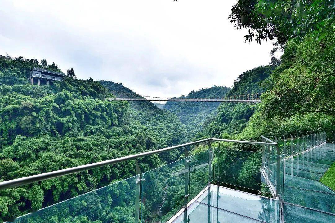 全年周边景点情况:邛州园景区,花楸山风景区,川西竹海,金鸡谷风景区等
