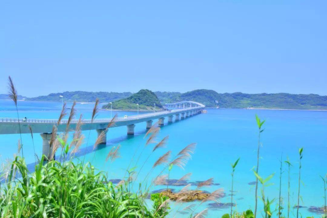 日立海濱公園茨城縣