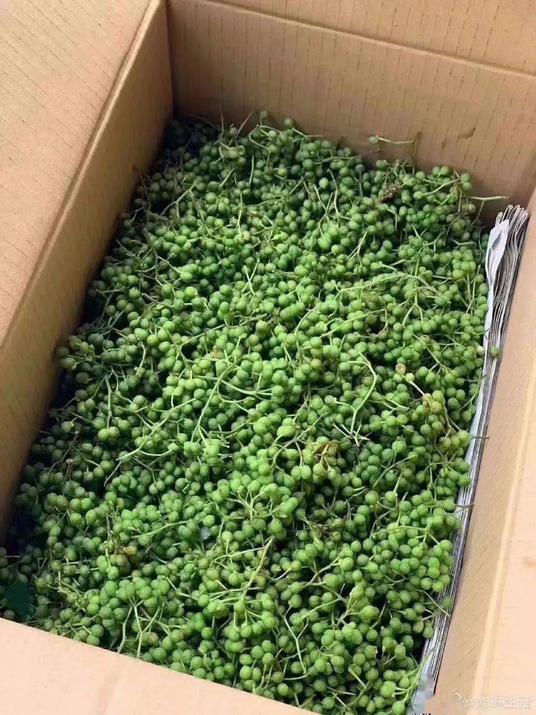 今天用新鲜的实山椒做了一道美味的花椒鸡,剩下的