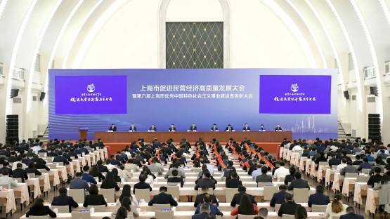 上海民营企业家展望未来,民营经济高质量发展空间巨大_创新_旅游_大会