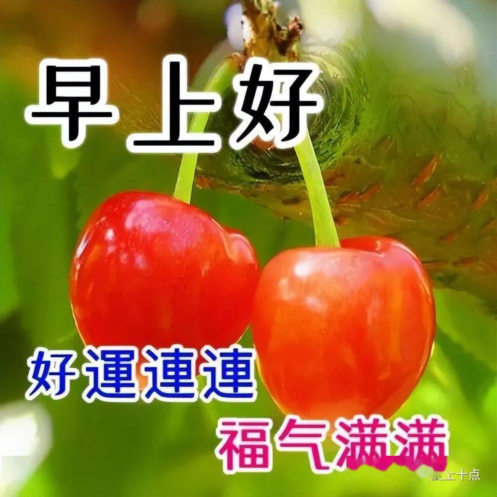 微信最新早上好图片大全