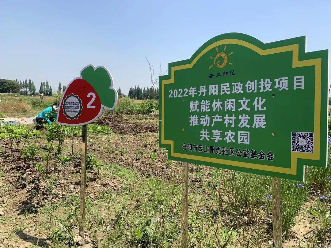 乡村振兴 | 东青村:一块"共享农田"乐了市民富了村民_项目_公益_收入