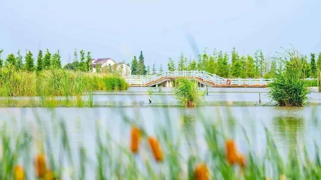 快来收藏这份漕泾郊野公园亲水运动指南_体育_皮划艇_小体