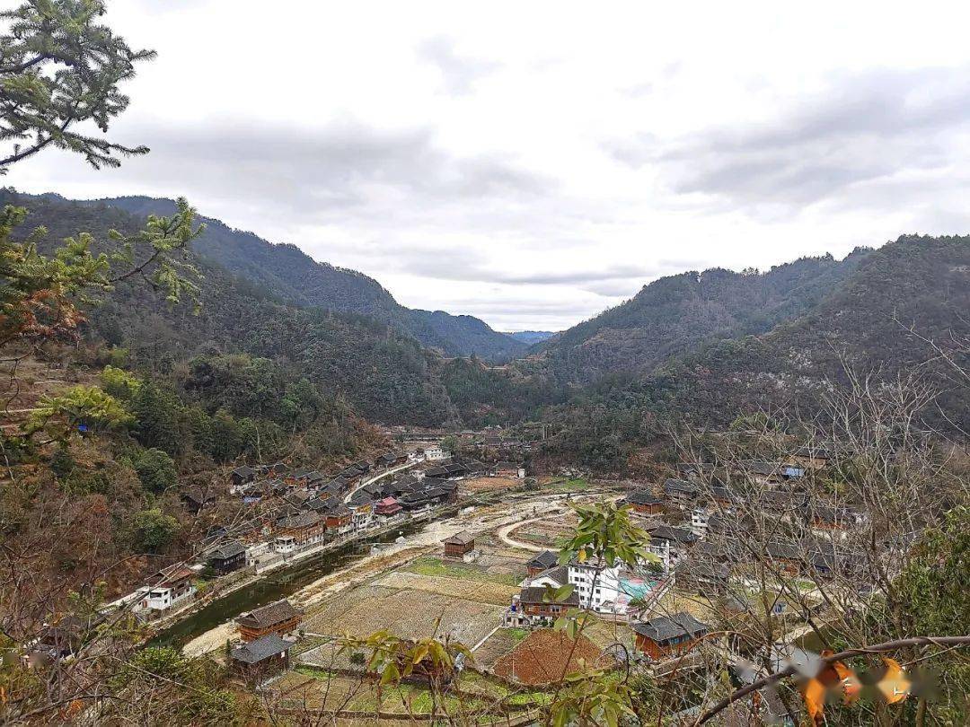 【和美城乡 四大行动】台江县南宫镇:特色产业增活力 乡村治理焕新颜