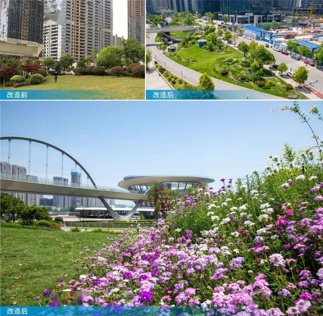 梅溪湖一期提质改造顺利推进_节庆_公园_儿童