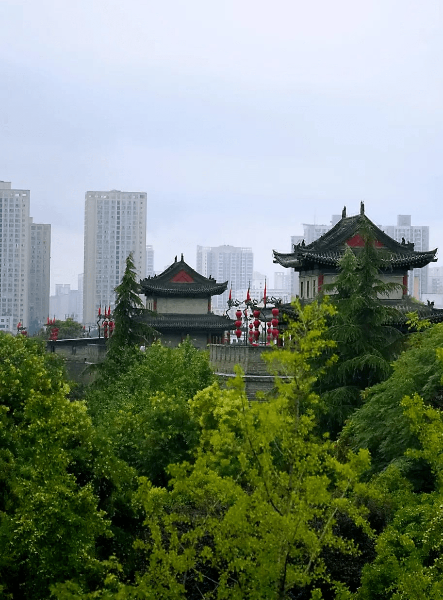 古城风韵,遇见最美诗词长安