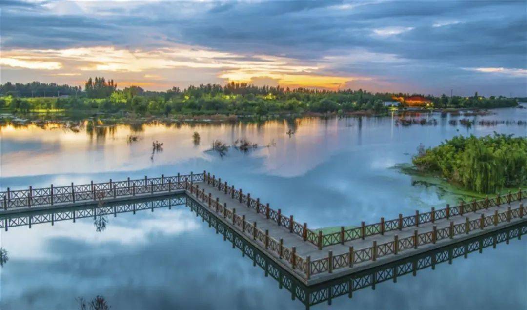 重磅| 山东高密:一座有"凤凰"的城市_历史_中国_剪纸