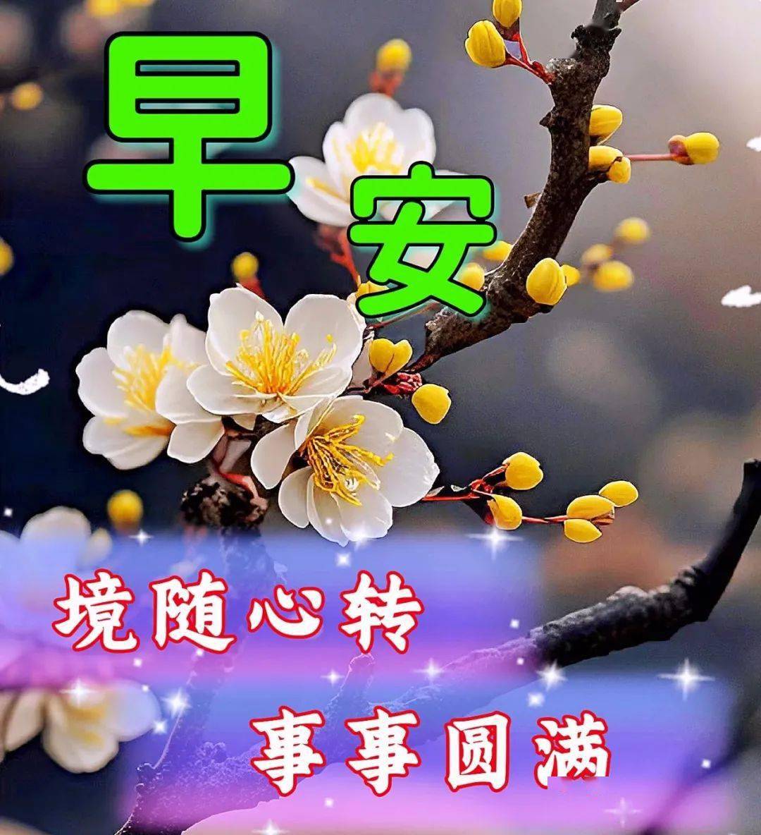 今日最新早上好表情包图片大全,新的一天,吉祥平安!_人生_朋友_包含了