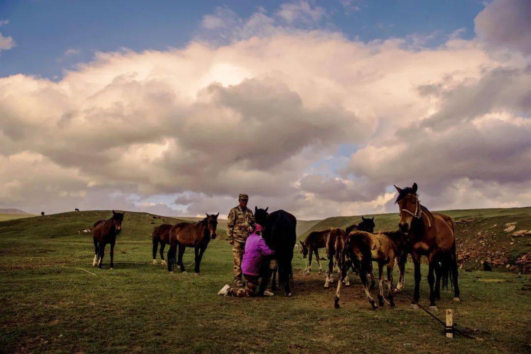 中华影像志|国境线上 · 游牧生活的守望者_塔什_玉其_草原