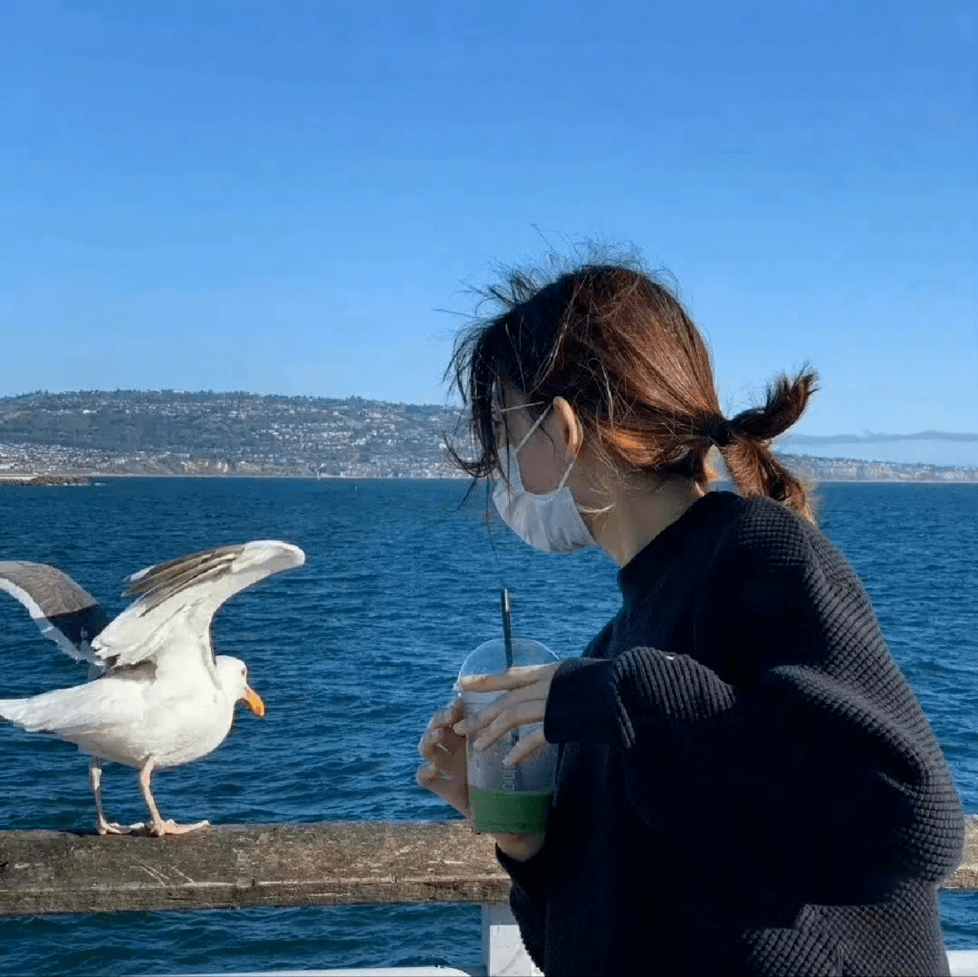 头像| 和光同尘,与时舒卷_侵权_网络_图片