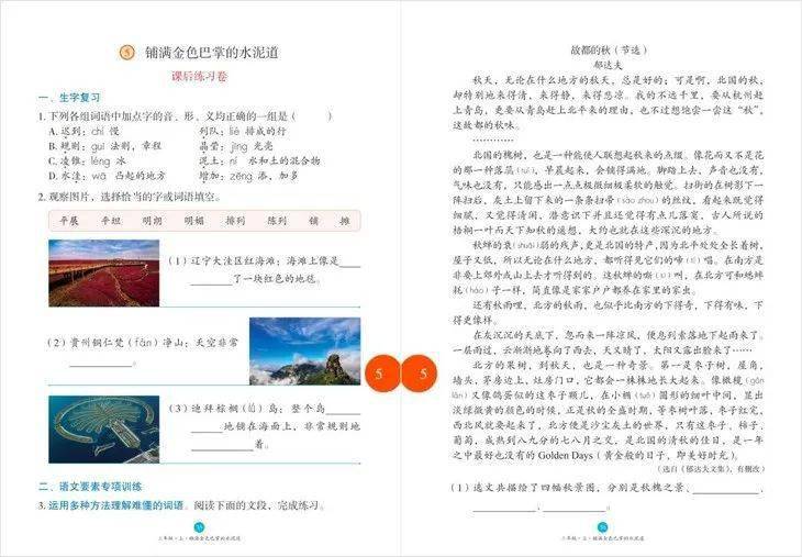 是一份试卷,可以用来检测孩子这一单元学习的情况,除了课本上的字词句