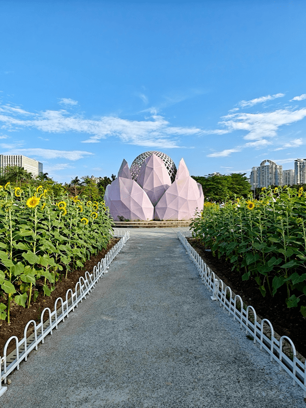 广州花海景点图片