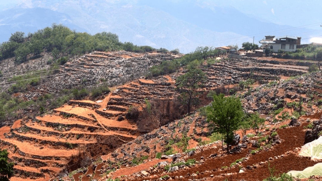 牛街镇:全力做好抗旱保供水工作 村民生产生活有保障