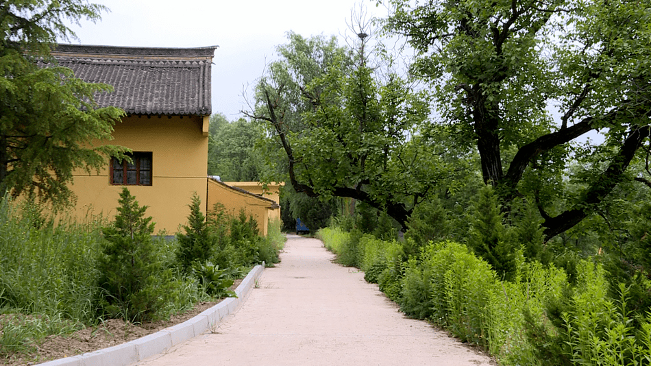 天水伯阳镇图片