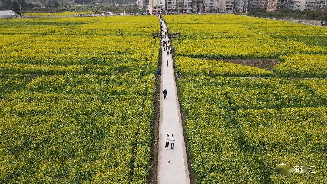 连江全新露营基地,就在……_辰山村_游客_马鼻镇
