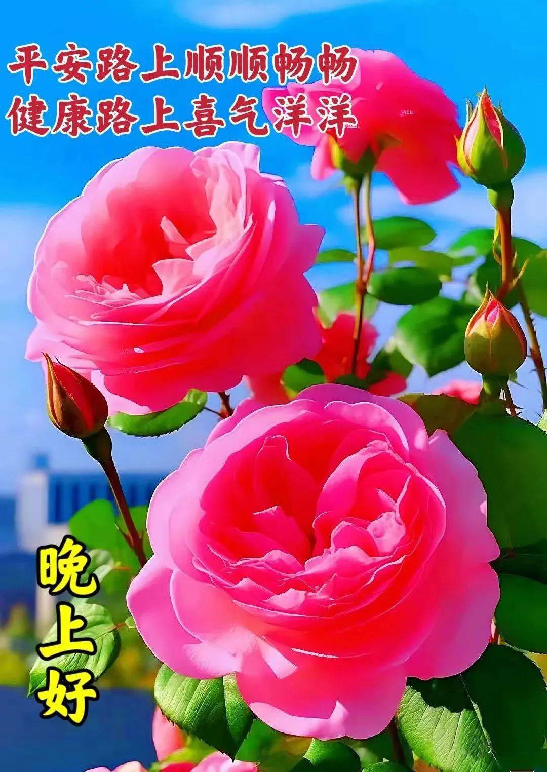 心情愉快添福气,开心快乐最无敌._生活_祝福_微信