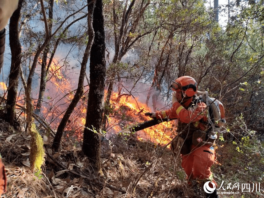 凉山两地突发森林火灾_火场_四川省_救援