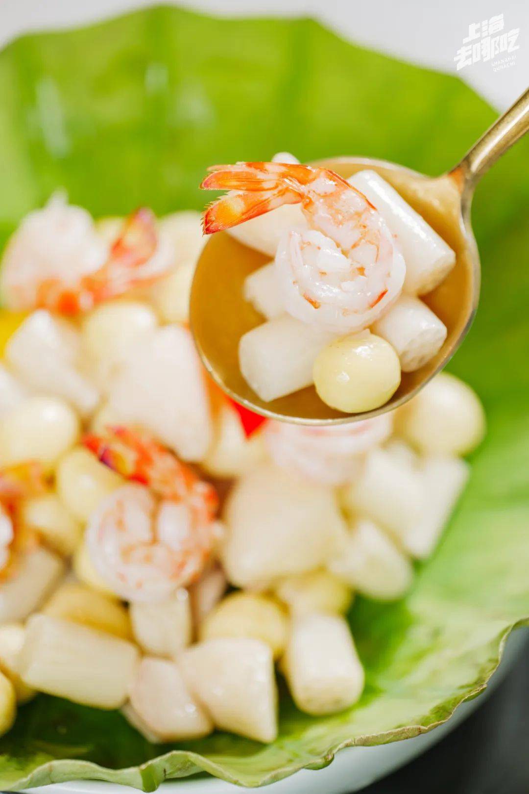 「荷塘三宝」还有珍珠白苦瓜和五花肉的创意cp,炖煮出了苦中回甘的