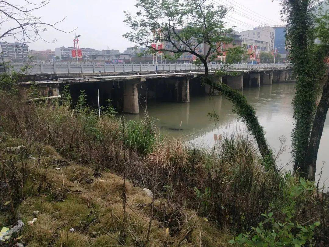 据悉,飞鸾桥位于广西桂林市全州县境内国道322线永岁至绍水路段,原