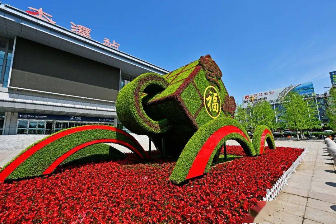 我市新添两处大型植物雕塑_进行_绿化_城市