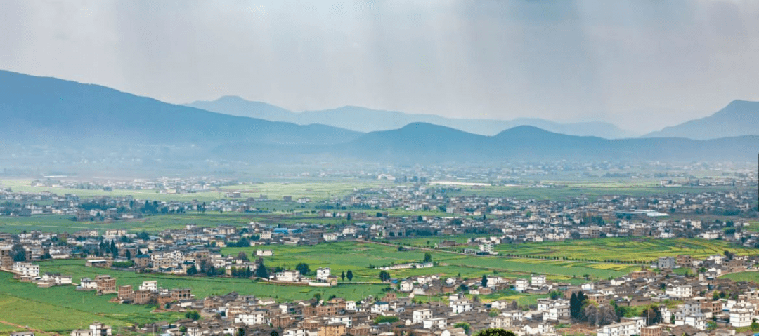 【农业适度规模经营看鹤庆】鹤庆县金墩乡:坐拥天时地利人和的"宝地"