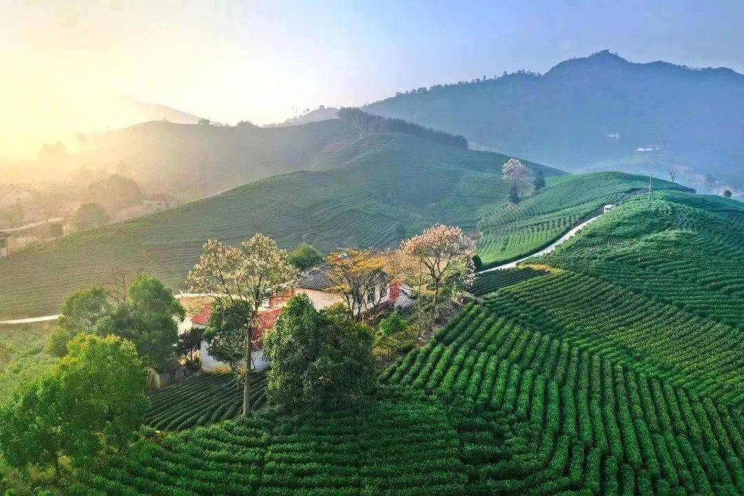 全国农广看安吉—寻一方绿水青山_乡村_余村_宣传