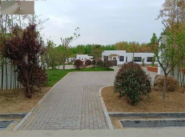 东营市广饶县稻庄镇:提升城乡"颜值" 擦亮"幸福底色"_生活_文化广场