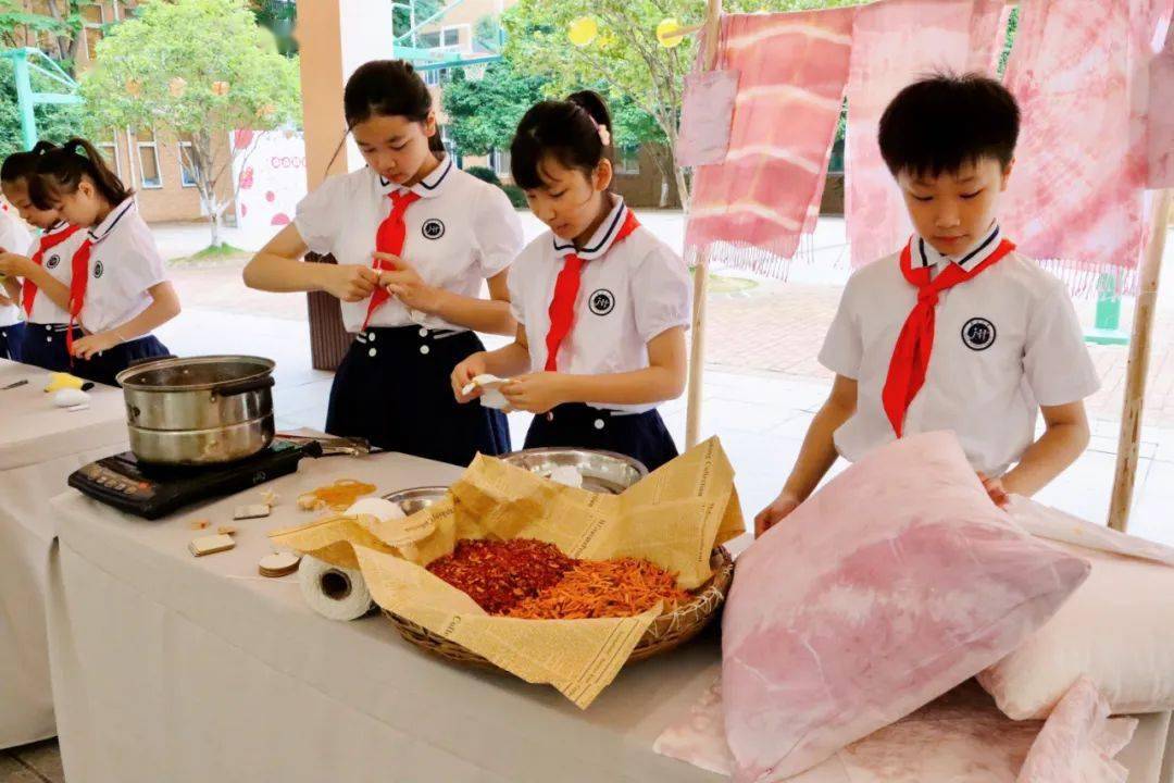 紅領巾|泰禹小學少先隊活動陣地成果展示_技能_宣講員_黃紫