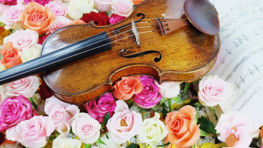 美妙旋律簇花团,辰山草地广播音乐节期间专家带你赏绣球_植物园_品种