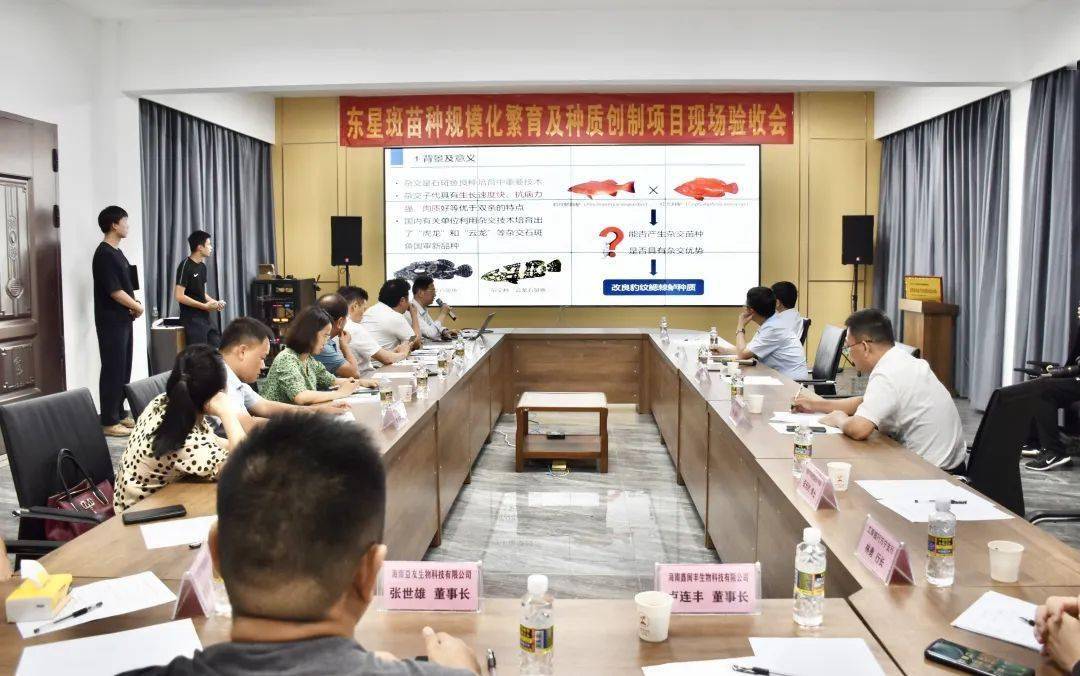 质创制"等项目中培育的东星斑(豹纹鳃棘鲈)苗种,东星斑与红瓜子玟(红