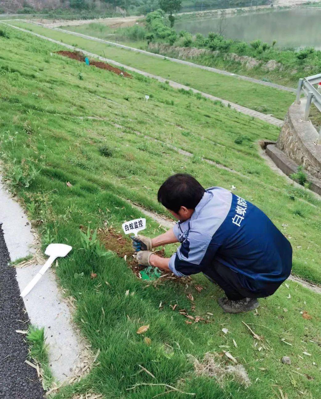 省,市两级水利部门成立水利工程白蚁防治工作领导小组和专班,强化组织