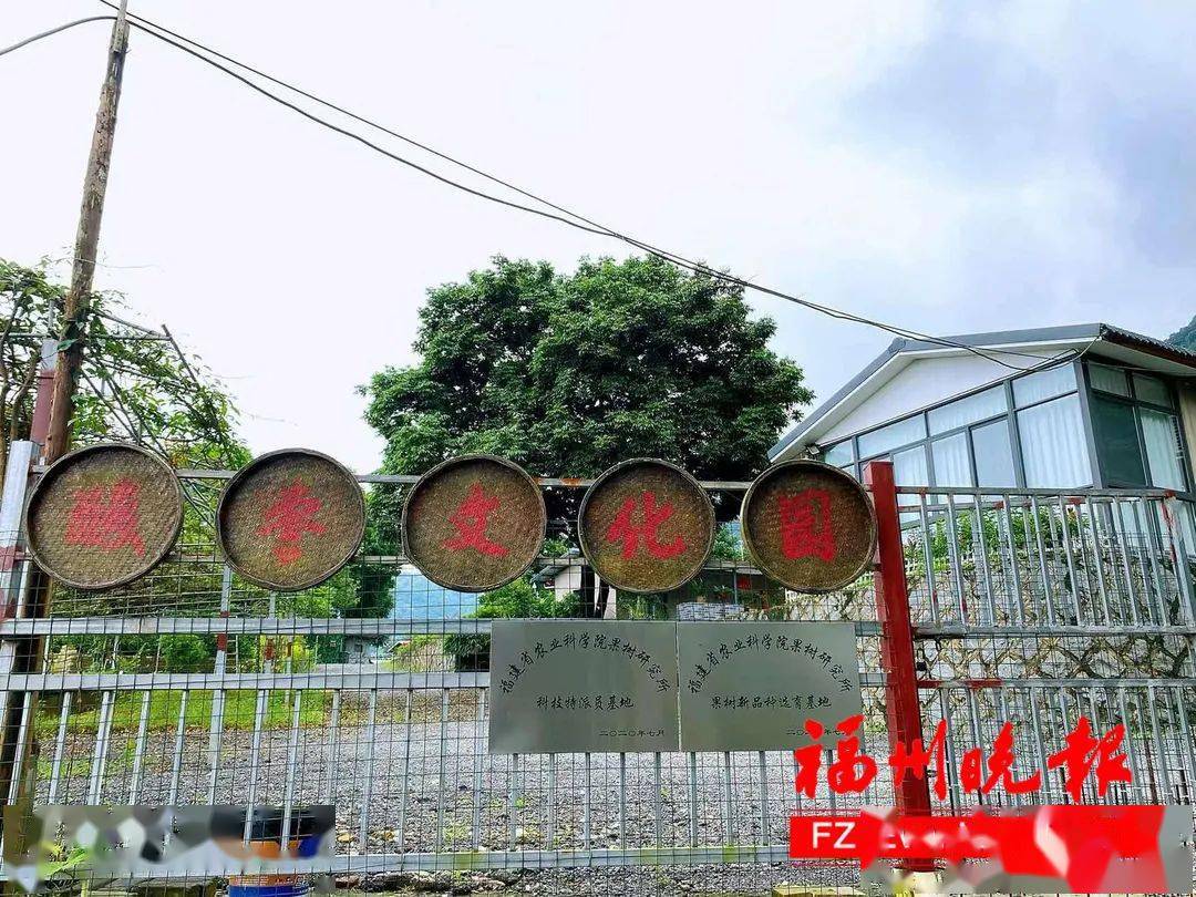 高新区南屿镇桐南村酸枣糕67成功获评市级非遗_冷凝_福州_朱熹