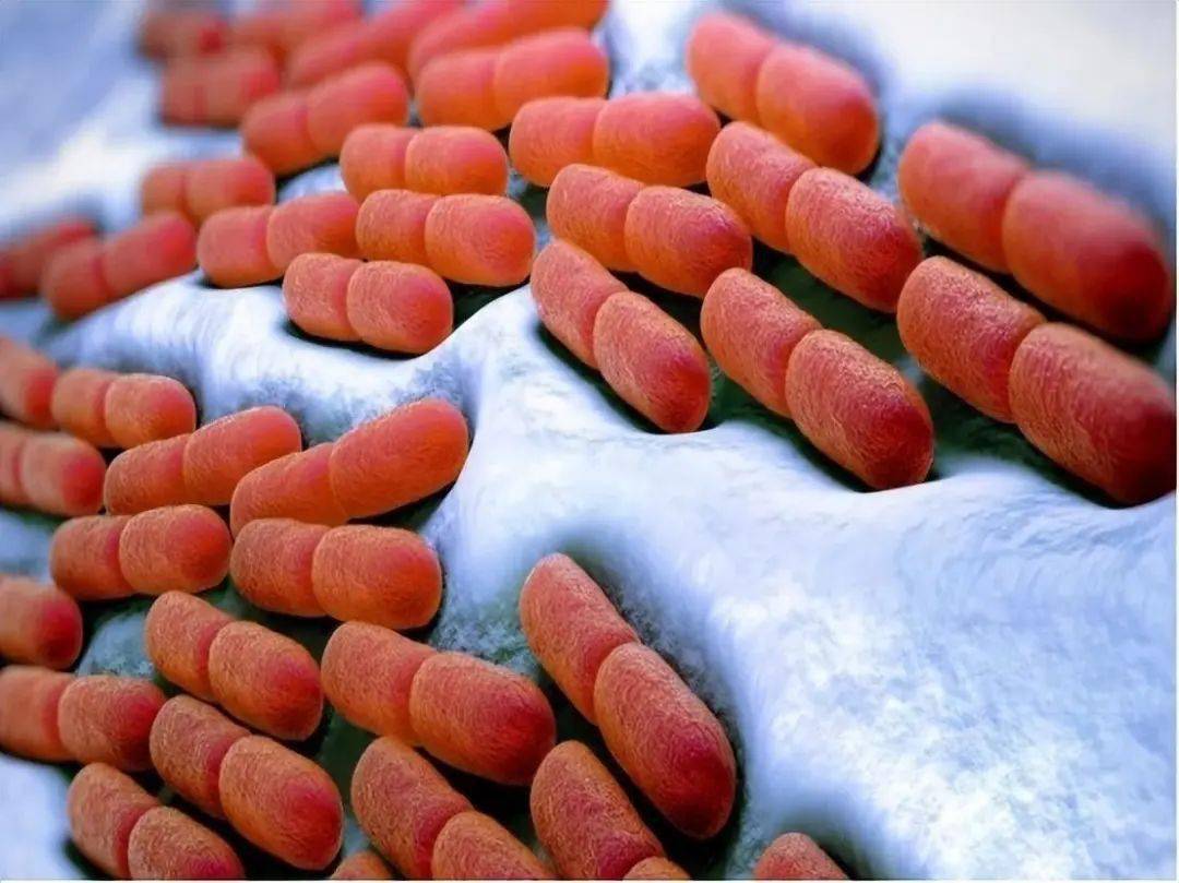 拉屎臭和不臭,谁更健康?若出现这些气味,小心癌症盯上你?