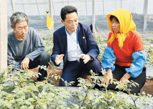 田间示范秀乡土专家图片