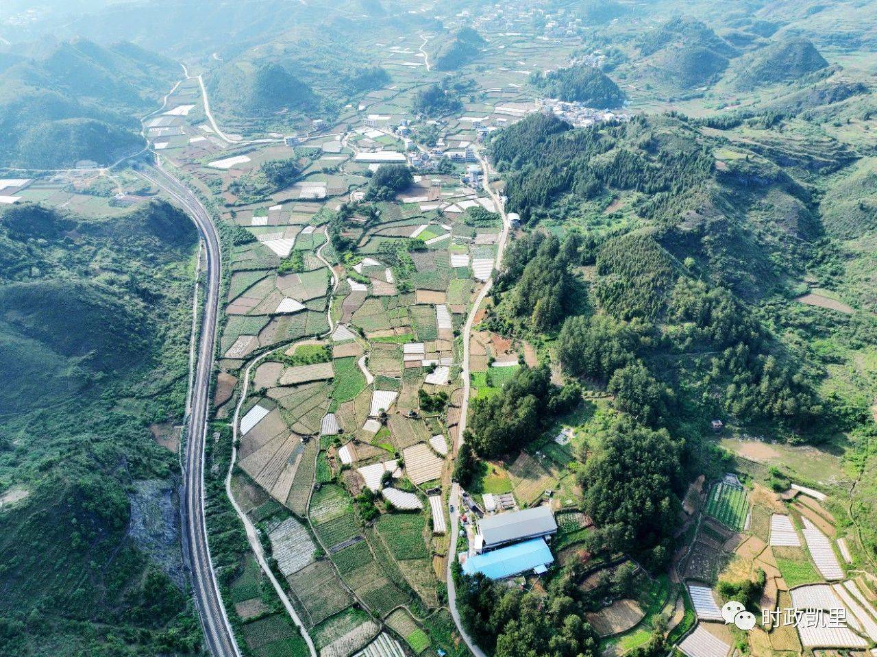 凯里市万潮镇:蔬菜产业鼓起群众"钱袋子"_种植场_坝区_农户
