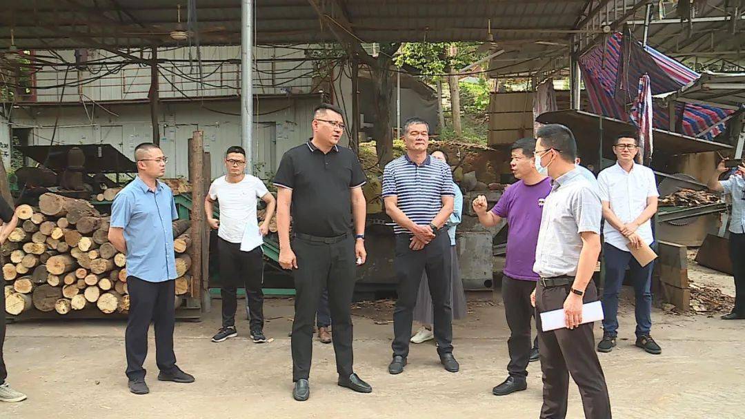 仙游县领导深入龙华镇,鲤南镇督导生态环境突出问题整改工作_陈志挺