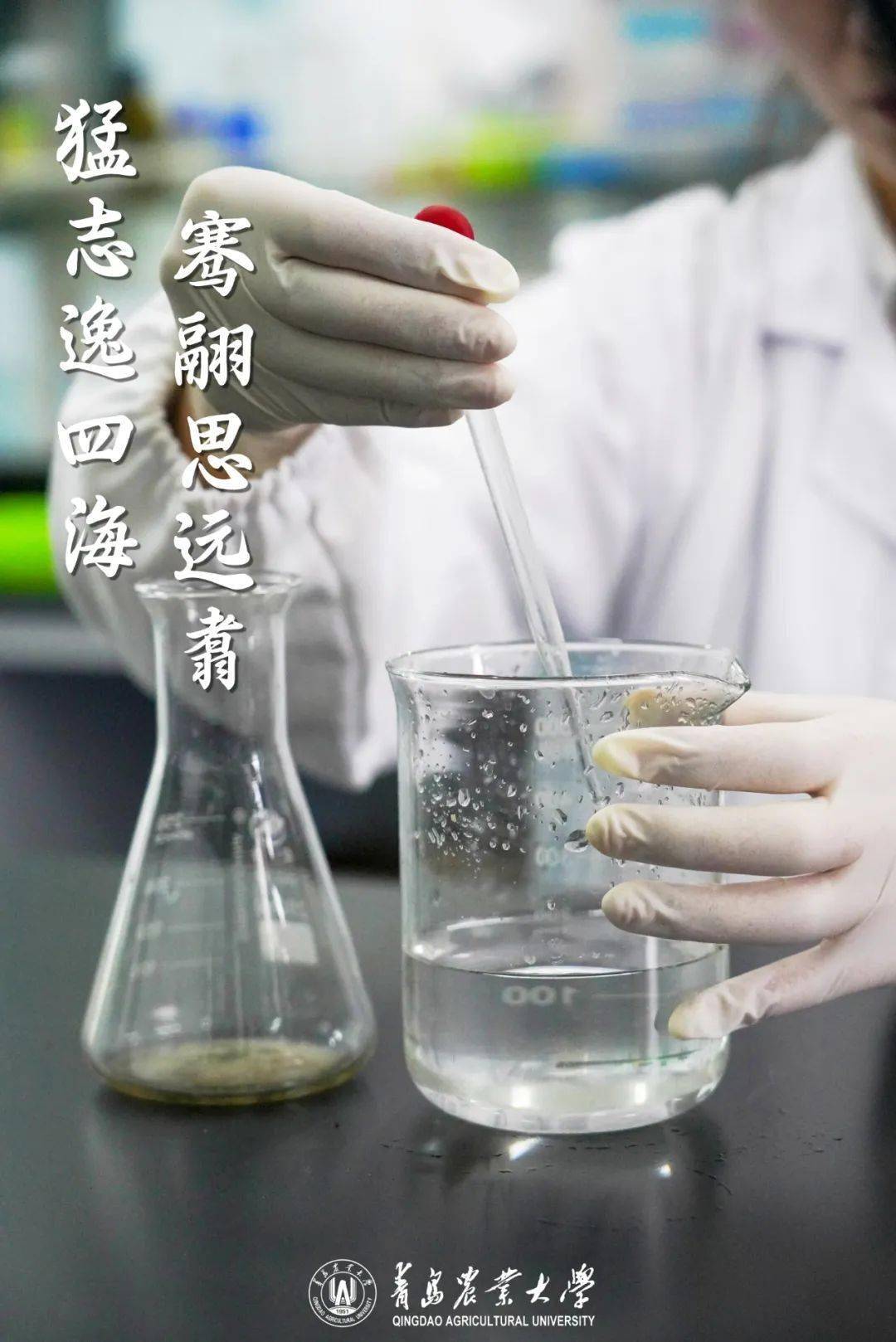 我们顶峰相见!_青岛_远方_终究会