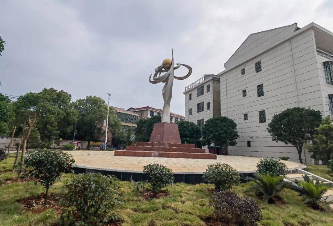 【美丽姚圩】姚圩集镇这条门户大道"颜值"大提升_改造_道路_环境