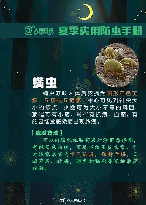 遇到这种虫子别打 有人差点毁容 正确的驱赶方式