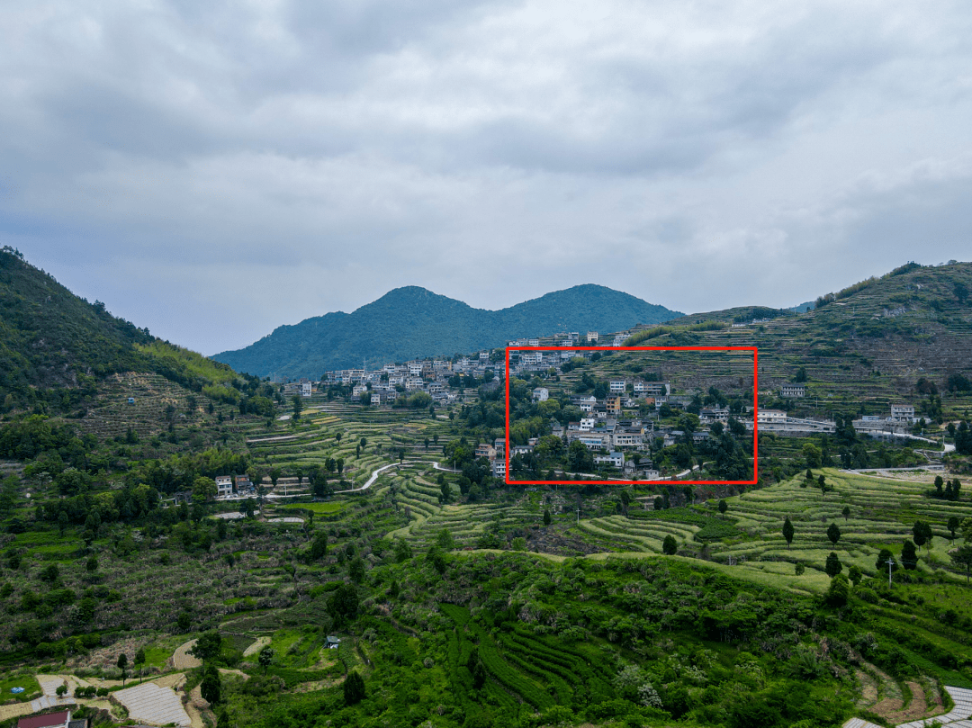 河头_临海_视频