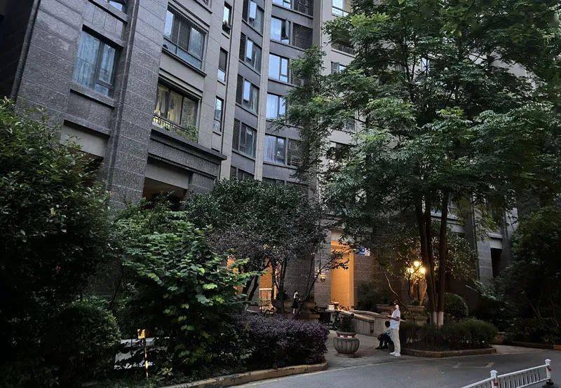 “她刚失去孩子，又遭网暴”！小学生校内被撞离世后，母亲坠楼身亡......-小学生在学校被车撞死
