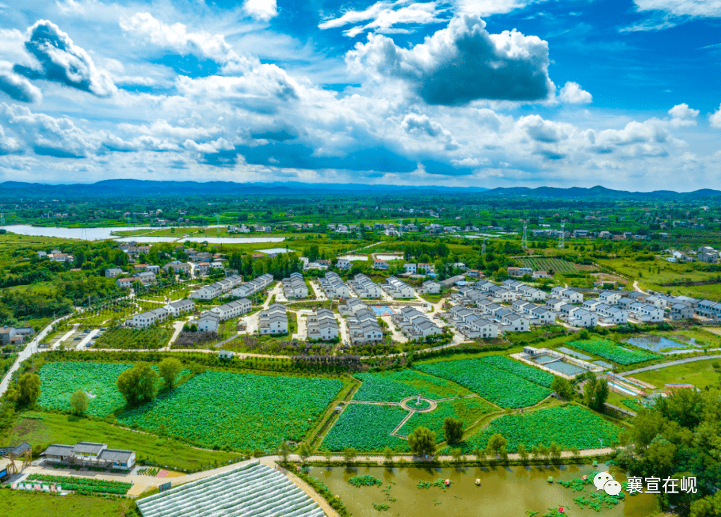 和美乡村建设试点村!襄阳 17_全省_民生_管理