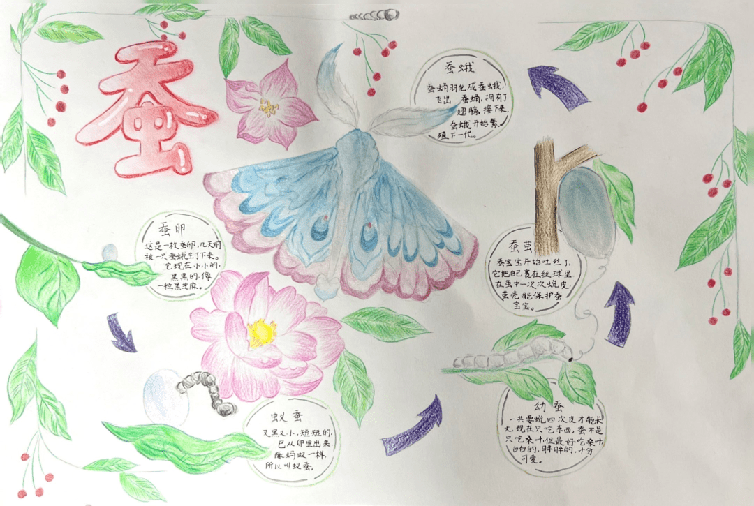 童心献礼十周年 科技筑梦向未来——"苹果树"科技节之中年段自然笔记