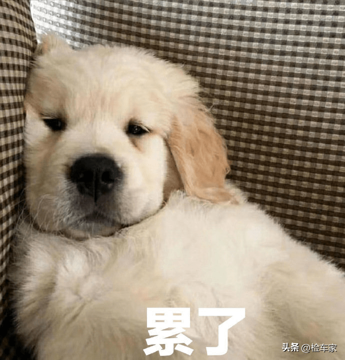 腻子中加铁粉，只为迷惑检测师，这辆沃尔沃还有什么故事？
