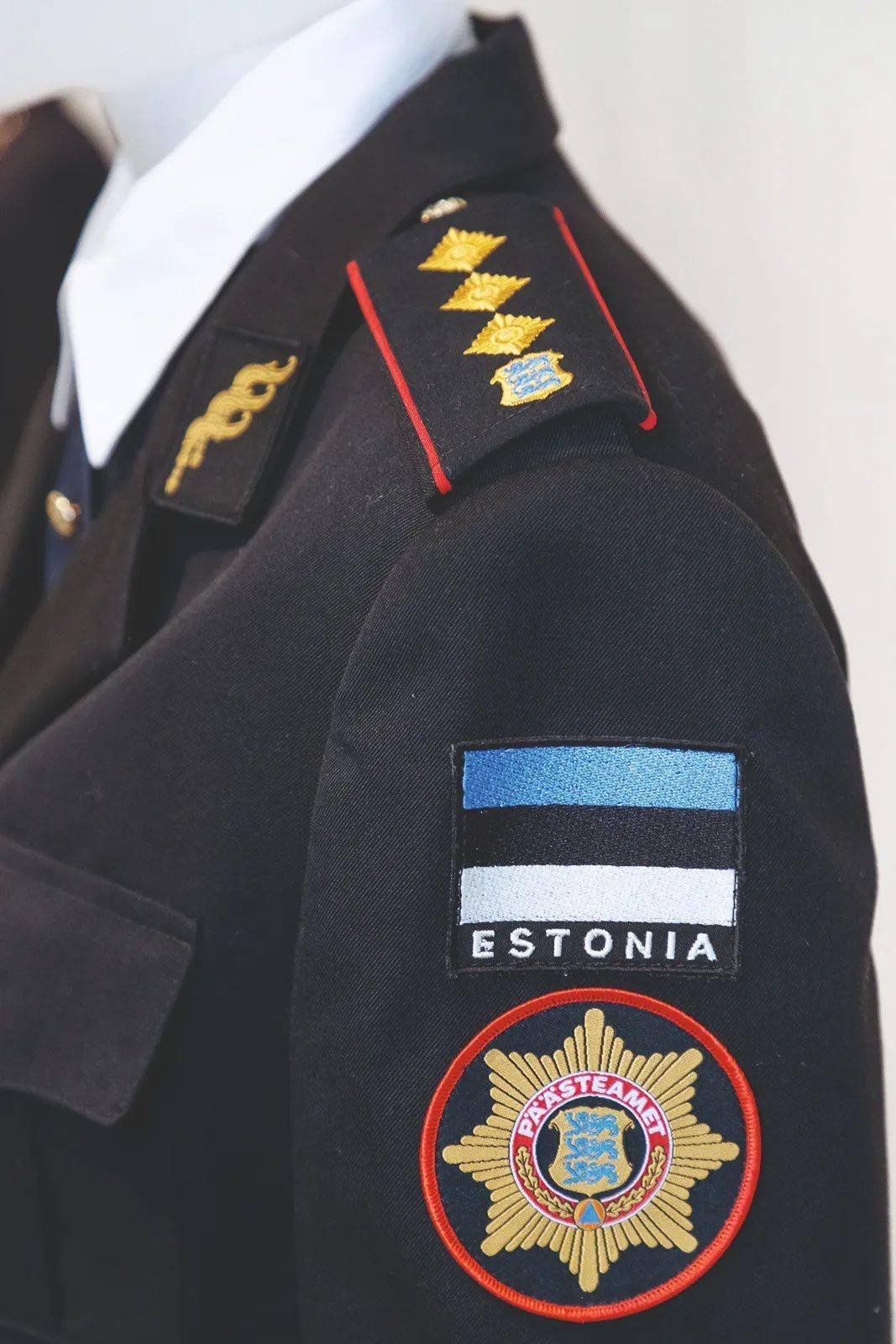 爱沙尼亚的消防救援改革_人员_独立_民防