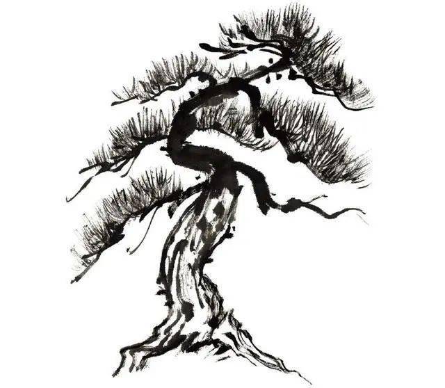 【国画教程】松树树枝,树皮,树干的水墨画法