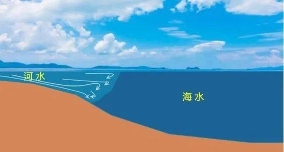 顶托河水入海图片