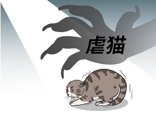 虐猫2022图片